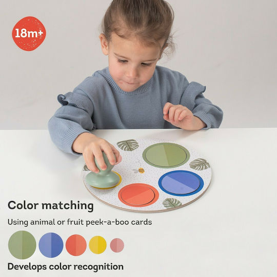 Taf Toys Magnetic Construction Toy Peek A Boo For Children 1.5+ Years