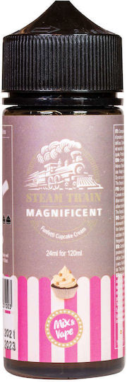 Steam Train Flavor Shot Magnificent 24ml/120ml 1τμχ