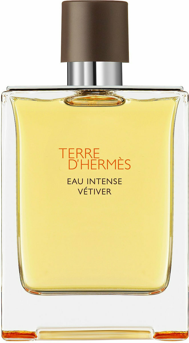 TERRE D'HERMÈS Eau Intense Vétiver 100ml 20220705111239_f807eb07.jpeg
