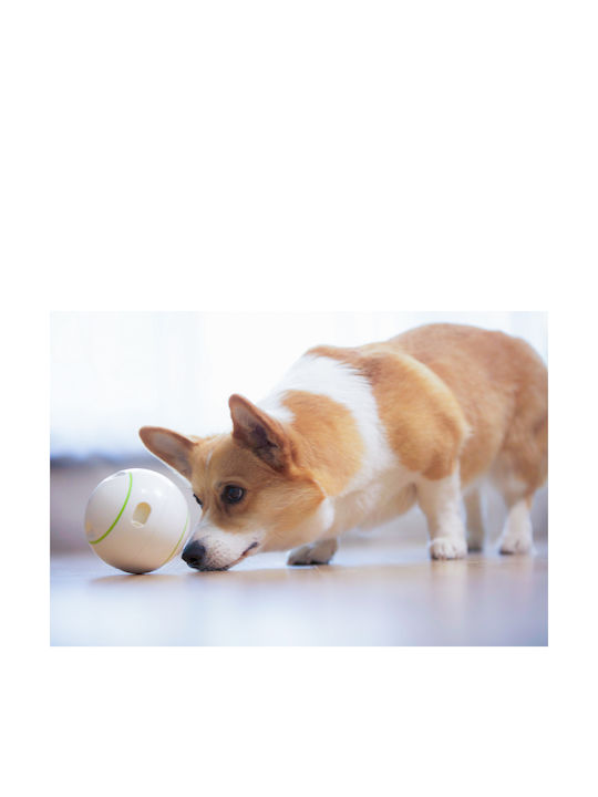 Doggy Village Prize Orb Μπάλα Παιχνίδι Σκύλου Λευκή 1τμχ