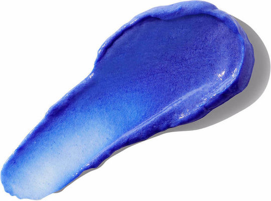 Christophe Robin Shade Variation Μάσκα Μαλλιών για Διατήρηση Χρώματος 250ml