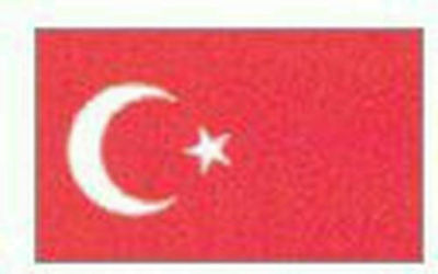 Flagge der Türkei Μήκους 50cm