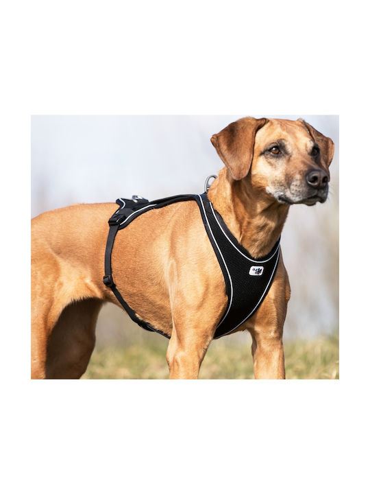 Curli Dog Harness Vest Belka Comfort Harness Black Small 44mm x 62-66cm