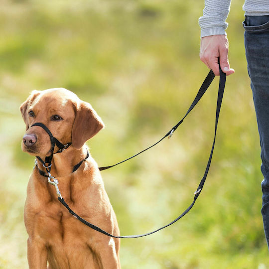 Trixie Training With Neck Strap Large 31cm
