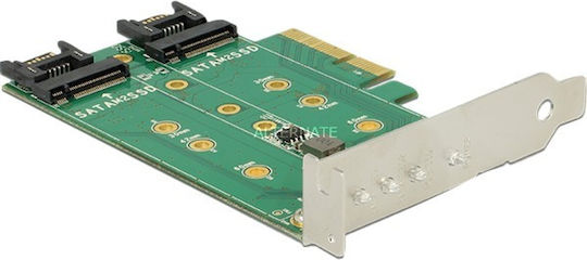 DeLock Κάρτα PCIe σε 3 θύρες M.2