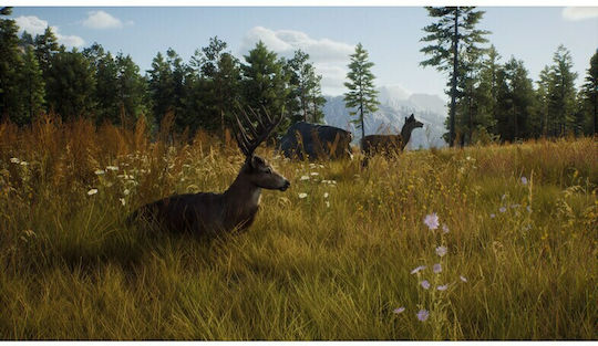 Way of the Hunter Xbox Series X Game
