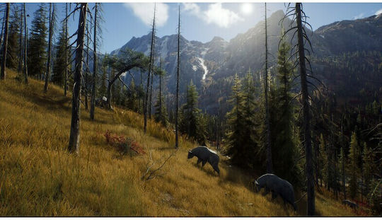 Way of the Hunter Xbox Series X Game