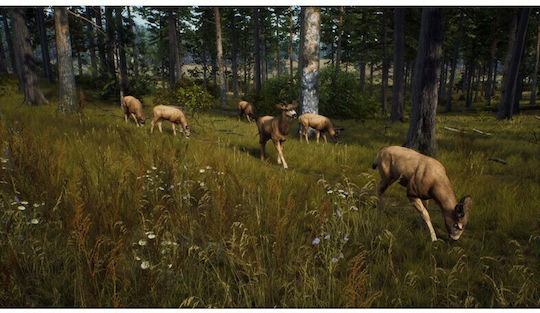 Way of the Hunter Xbox Series X Game