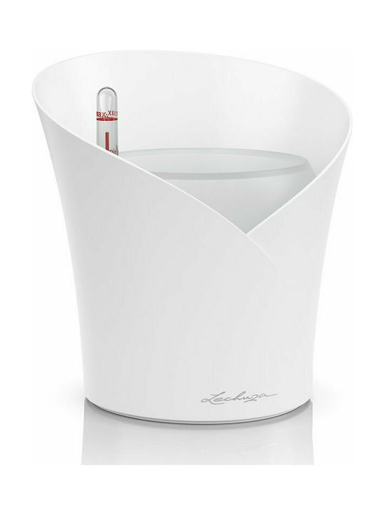 Lechuza Orchidea Self-watering Pot Plastic 18x18x20cm.
