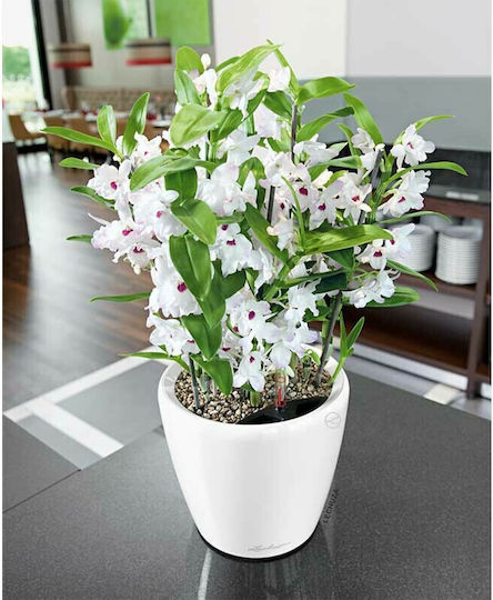 Lechuza Classico Premium Self-watering Pot Plastic 28x28x26cm.