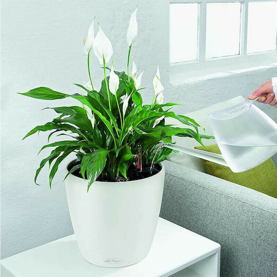 Lechuza Classico Premium Self-watering Pot Plastic 28x28x26cm.