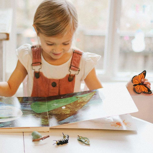 Safari Ltd Life Cycle of A Monarch Butterfly STEM Educational Game Knowledge for 4+ Years Old