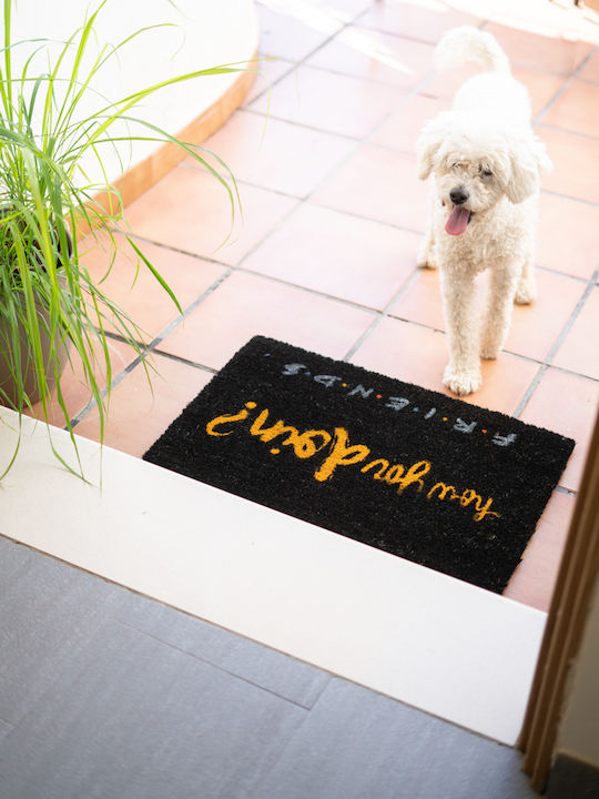 Grupo Erik Entrance Mat made of Coir Friends How You Doin Black 40x60cm
