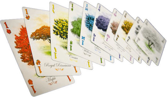 Επιτραπέζιο Παιχνίδι Arboretum για 2-4 Παίκτες 8+ Ετών (EN) Renegade Game Studios