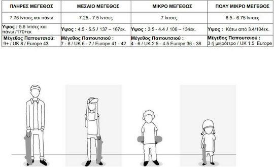 Speed Demons Skate Stars 7.75" Komplett Kurzboard Mehrfarbig