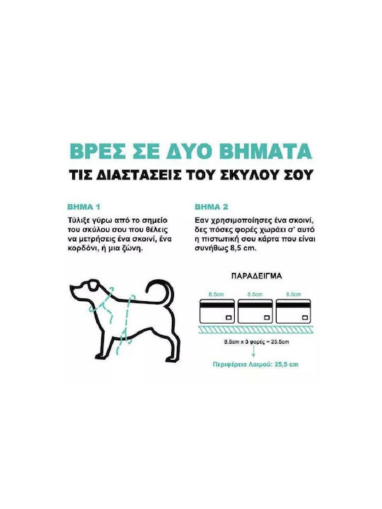 Zee-Dog Honey Κολάρο Σκύλου Small 15mm x 31 - 43cm