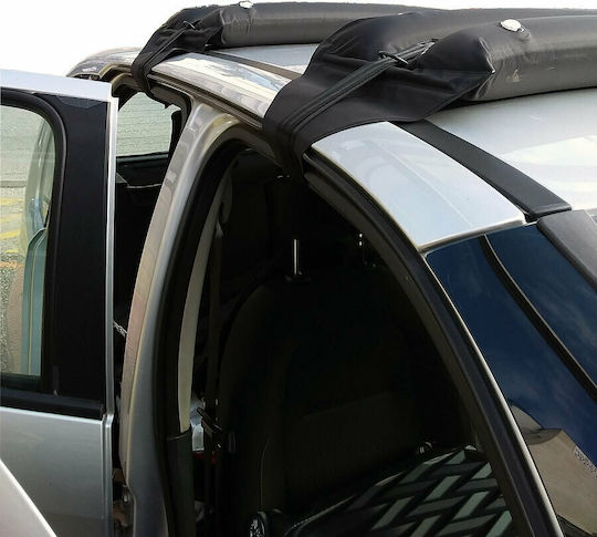 HandiWorld für Citroen C3 Picasso 2008-2017 Ohne Parallelstangen (ohne Beine)