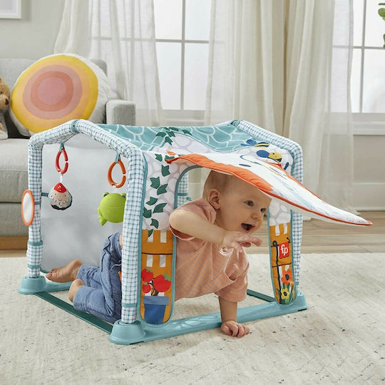 Fisher Price Activity Gym Playhouse for Newborns