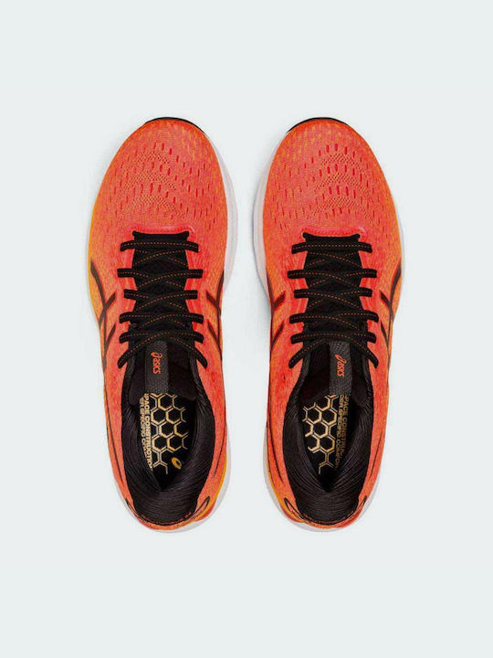 Gel-Nimbus 24 Sport Shoes Running Cherry Tomato / Black