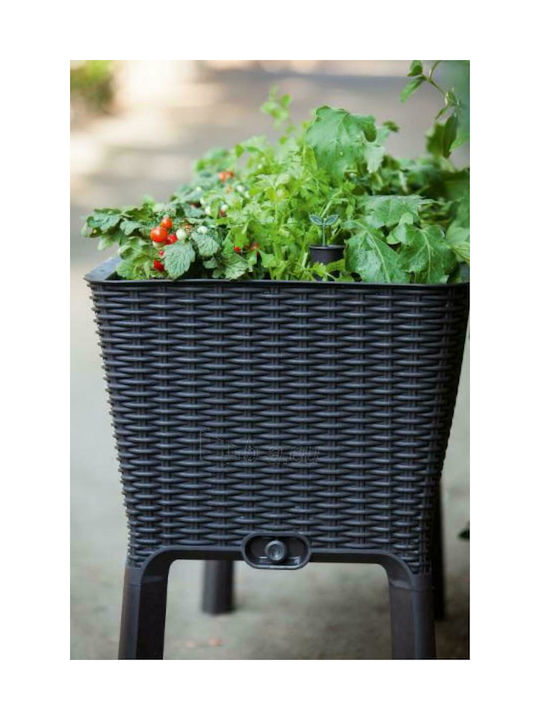 Keter Blumenkasten Kunststoff Braun 114x50x76cm.