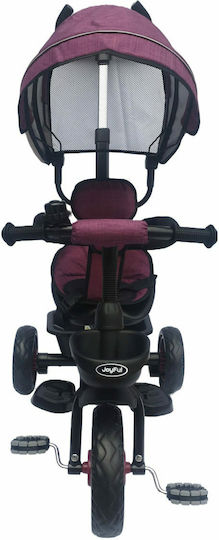 Joyful Kids Kids Tricycle with Parental Handle for 2+ Years Purple