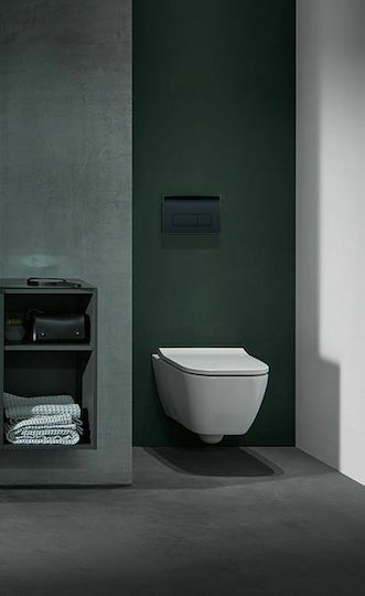 Geberit Flush Plate for Cistern Dual Flush Black Glossy