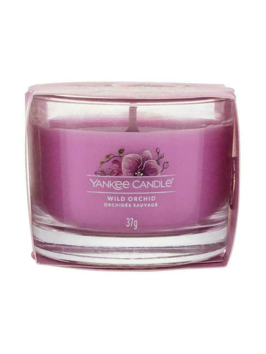 Yankee Candle Duftkerze Wild Orchid Gefäß Rosa 37gr 1Stück