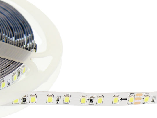GlobalExpress LED Strip 24V Cold White Light 5m Type SMD3528