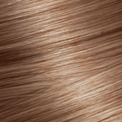 L'Oreal Paris Excellence Intense Hair Dye 6.13 ...