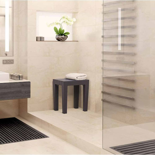 Tatay Lombok Bathroom Seat Plastic 38x29x41.5cm Brown 06504.001