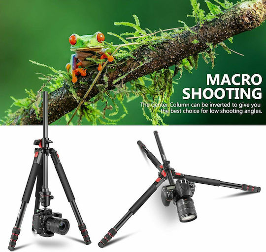 Neewer Camera Tripod 360 Degree Rotatable Center Aluminum With Spherical Head Up To 184cm And Load Capacity 15kg