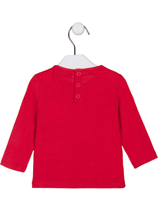 Losan