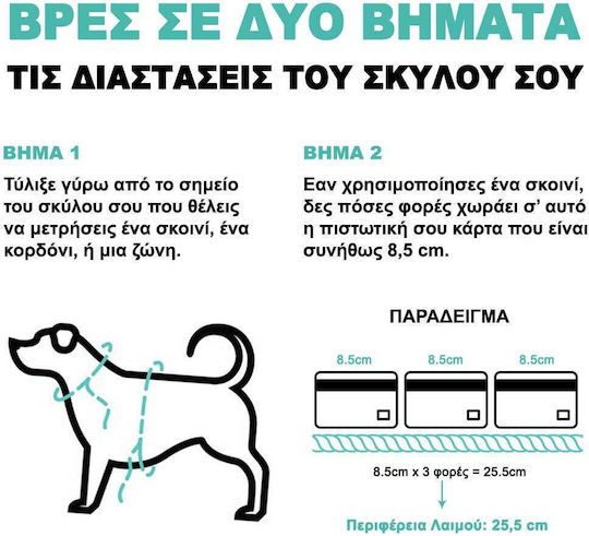 Zee-Dog Λουρί/Οδηγός Σκύλου Ιμάντας Honey Large σε Κίτρινο χρώμα 1.2m x 2.5cm