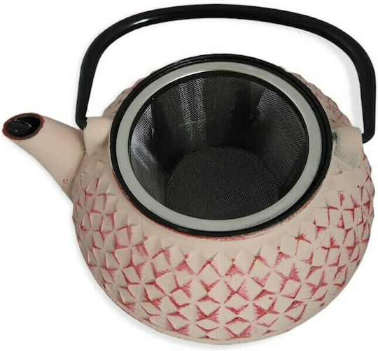 Cast Iron Teapot with Filter 800ml Cast Iron Teapot with Filter 800ml