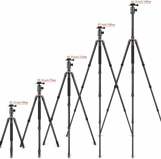 Neewer Neewer Photography & Video Monopod Made of Carbon Fiber with Simple Sole with Hydraulic Head and 12kg Maximum Load