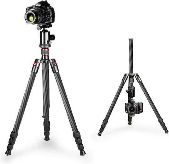 Neewer Neewer Photography & Video Monopod Made of Carbon Fiber with Simple Sole with Hydraulic Head and 12kg Maximum Load
