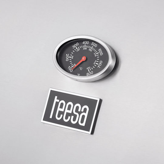 Teesa Gasgrill Rost 41cmx59cmcm mit 3 cm 10.8kW