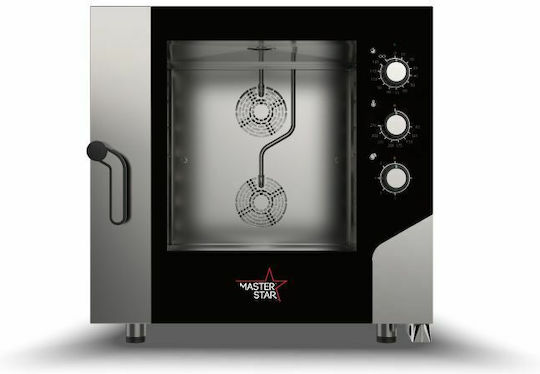 Alfa Frost Master Star Gasofen mit Dampf 13.5kW 616 GS