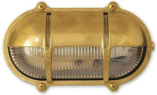 Lightup Broască Testoasă Bronz Lightup Broască Testoasă Bronz