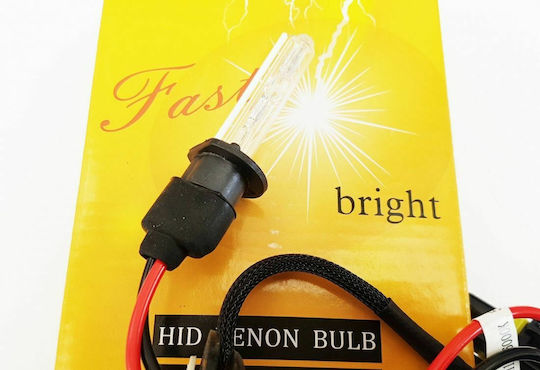 Lamps Car H1 Xenon 4300K Natural White 55W 1pcs