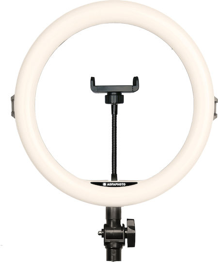 AgfaPhoto Realiview ARL11 Ring Light 28cm With Desktop Tripod And Mobile Phone Holder