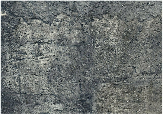 Fototapete Stoff Gray L100xB70cm 161132859 Fototapete Stoff Gray L100xB70cm 161132859