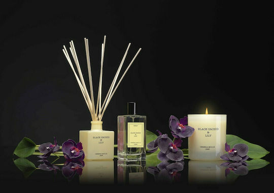 Cereria Molla Υγρό Αναπλήρωσης για Diffuser με Άρωμα Black Orchid & Lily 1353 200ml
