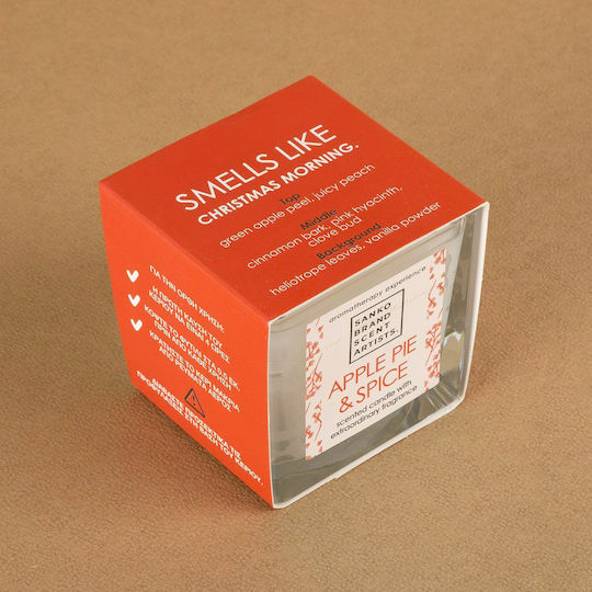 Sanko Scent Αρωματικό σε Βάζο Apple Pie & Spice Sanko Scent Αρωματικό σε Βάζο Apple Pie & Spice