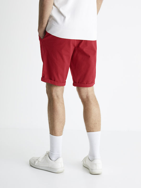 Celio