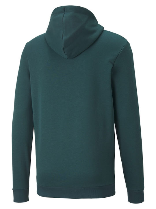 Big Logo Sweatshirt with Hood Green
