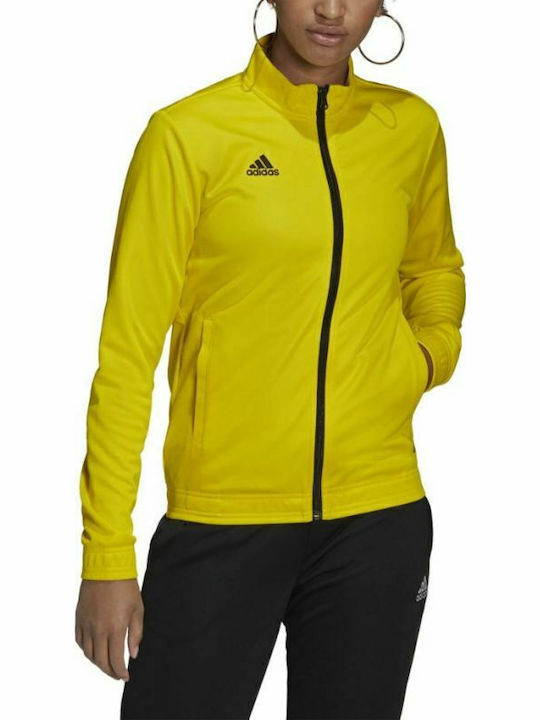 adidas adidas