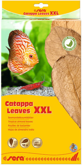 Sera Catappa Leaves XXL Tratament pentru protecție pentru mediu 100ml
