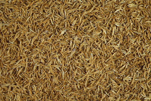 Tetra Anchovies Food for Turtle 250ml/32gr