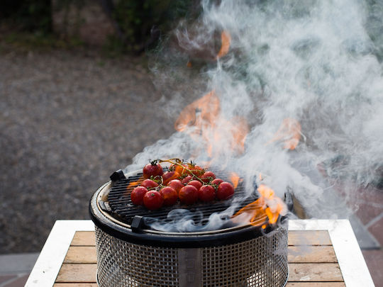 Smokey Olive Wood Lemon BBQ Smoking Chunks 1.7lt 1pcs